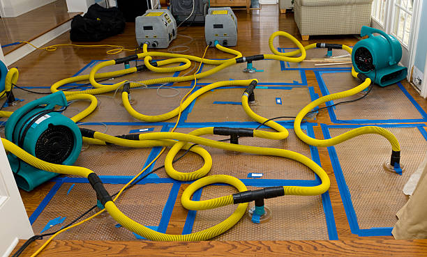 Professional Water Damage Restoration technician working in Leota, MN